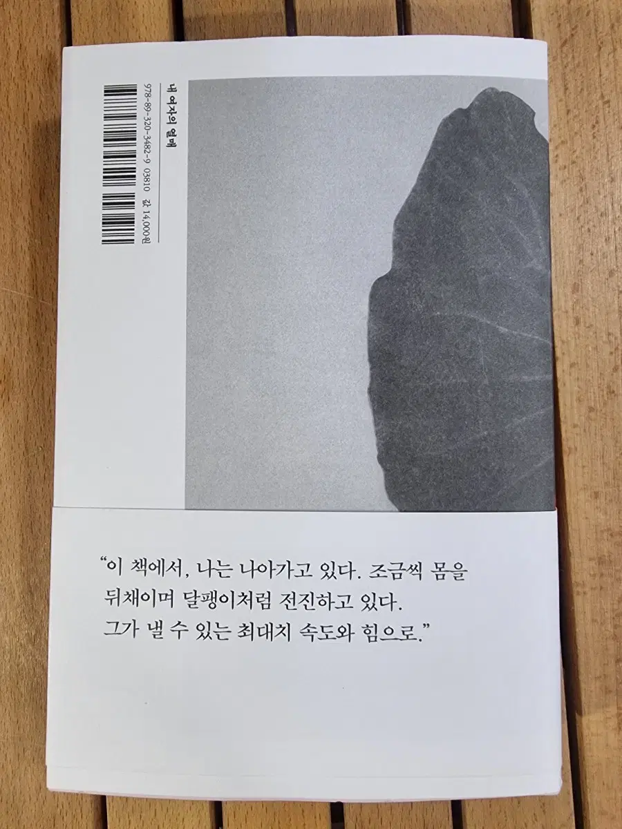 내여자의 열매-한강 소설집